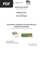 Estudo de Caso Projeto Sennet Cristiana Chaves 2013 2