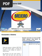 01 Template de Navegação Básica_SAP vfinal
