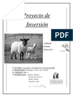 Proyecto de Inversión