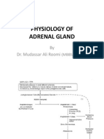 3rd Lecture on Adrenal Physiology 