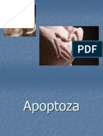 apoptozaa