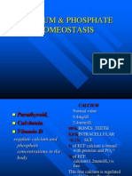 Parathyroid Hormone