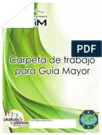 Carpeta Guia Mayor