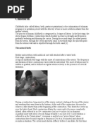 Download Child birth  and  The natural birth by Mohan Perera SN211044 doc pdf