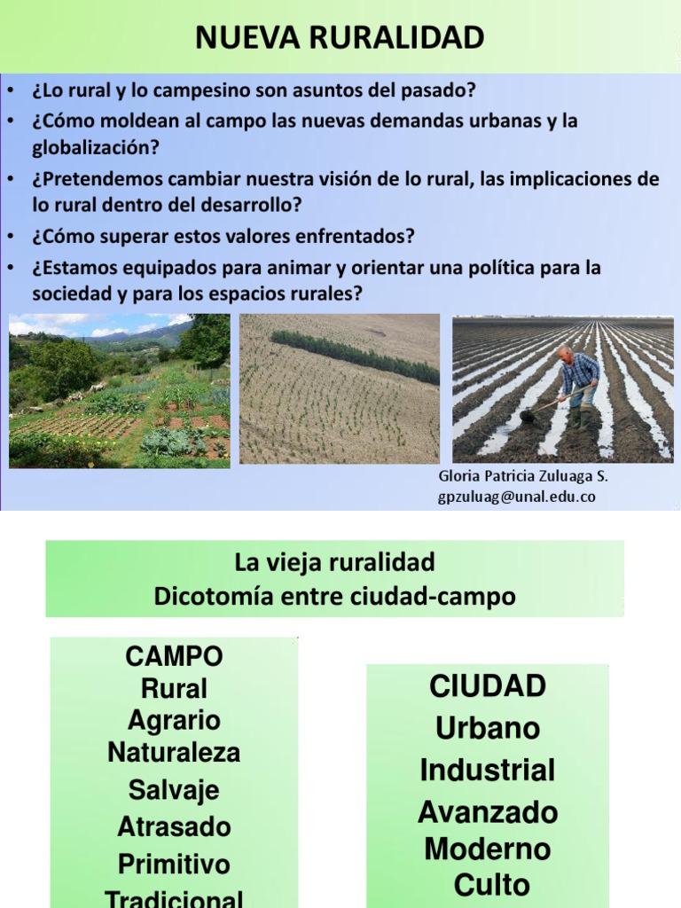 Nueva Ruralidad: Transformaciones y Desafíos | PDF | Área rural ...