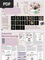 DNA (Poster-Bilim Teknik)