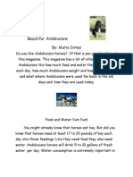 Research Report by Maria Beautiful Andalusians Revised