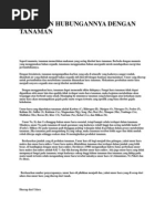 Download HARA DAN HUBUNGANNYA DENGAN TANAMANdocx by bangray SN211105378 doc pdf