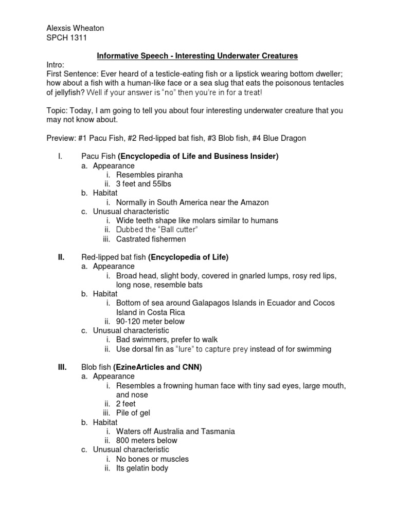 Chronological informative speeches picture