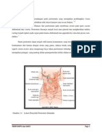 Peritonitis Dan Ileus Radiologi