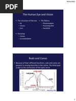 Chapter 6 Corrective Lenses