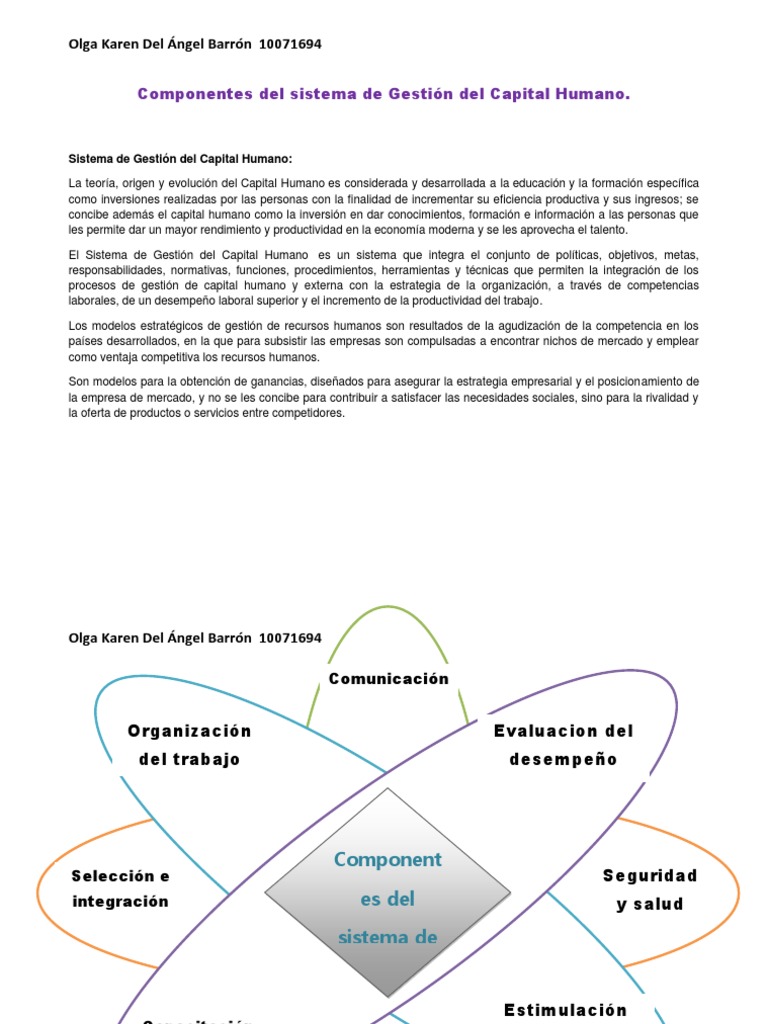 Componentes del sistema de Gestión del Capital Humano | PDF | Capital
