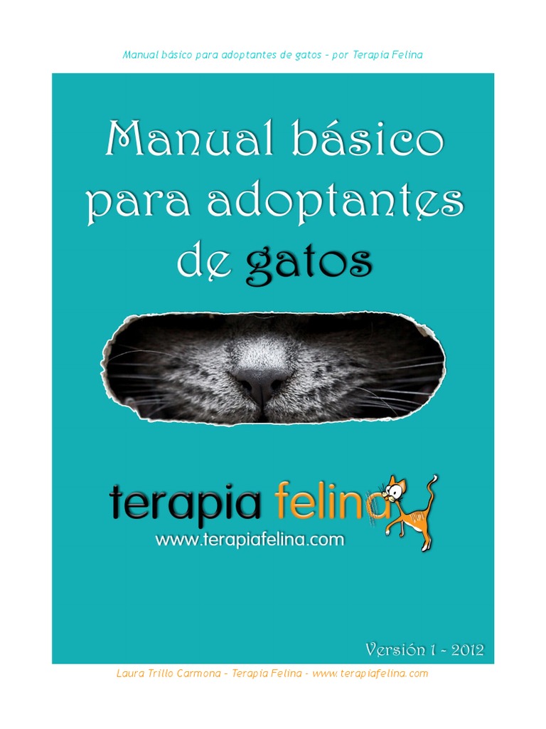 Guía para Adoptar Gatos con Éxito | PDF