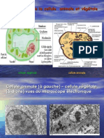 Biologie Cellulaire Cours Français Sous Présentations