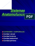 Anatomía General Tejidos