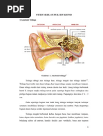 Download Otitis Media Supuratif Kronis by Letchumana Krishnan SN211183279 doc pdf