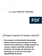 camponaturalmejrado-120918191617-phpapp02