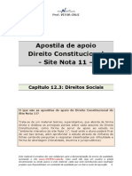 Apostila de Apoio-Cap 12 3-Direitos Sociais v2