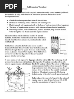 Soil Formation Worksheet