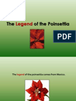 The Legend of The Poinsettia