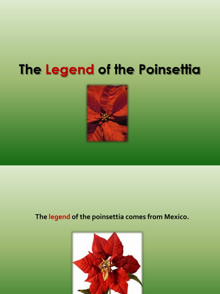 The Legend of The Poinsettia | PDF for Free Printable The Legend Of The Poinsettia Printable Story