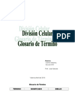 Divicion Celular Terminps