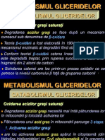 Curs Nr. 11 - Metabolism Lipide - Catabolism