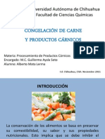 Congelamiento de Carne