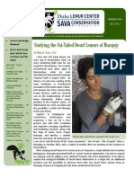 SAVA Newsletter 3 2014