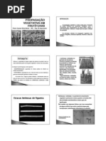 Aula Prop Veg Fruticultura