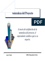 3. Naturaleza Del Proyecto