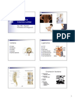 Biomecanica Columna Lumbar