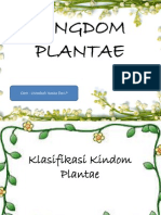 Kingdom Plantae