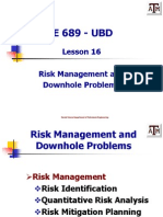 Lesson 16 Risk Management and Problems