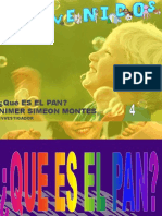 4 PAN Que Es