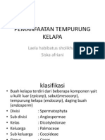 Pemanfaatan Tempurung Kelapa