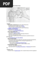 Download Blood Supply to Femoral Head by Reinita Arlin Pringgoredjo SN211345905 doc pdf