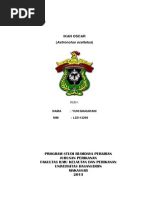 Download makalahkulturikanhiasdocxbyRanhiisiiepoetriforgetMaaharaniiySN211346294 doc pdf