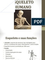 Aula 01 - Esqueleto Humano