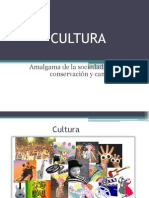 Sociologia Cultura