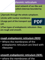 3. Endoplasmic Reticulum, Golgi Body, Vesicles, Centrioles