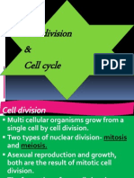6. Cell Cycle