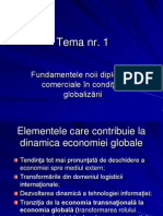 Tema 1