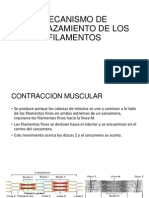 ciclo de contraccion