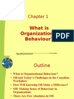 3240 What is Organizationa Behaviour