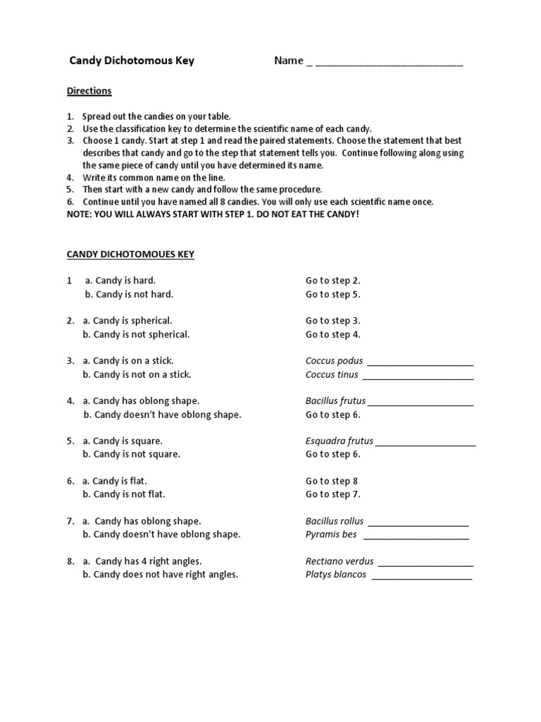 Candy Dichotomous Key Student PDF Teaching Mathematics
