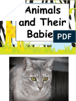 Animals and Babies