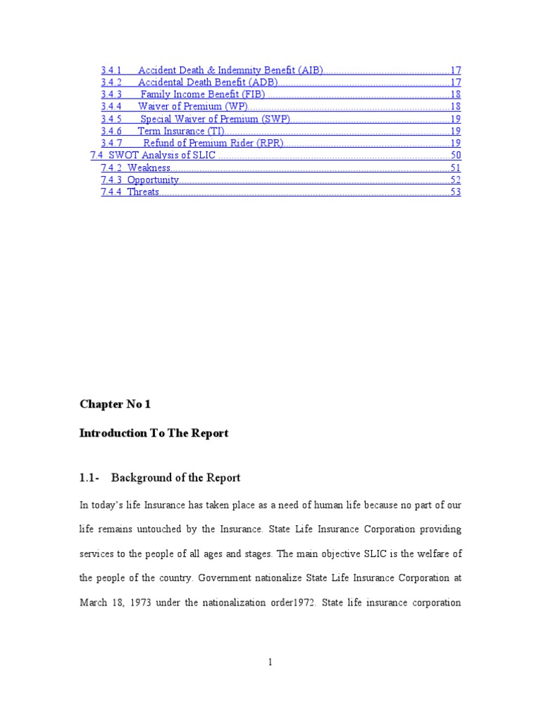 Report Internshipe State Life Rizwan Life Insurance