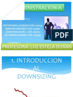 downsizingadministracion-130223220641-phpapp02