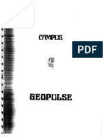 Geopulse Manual[1] (1)